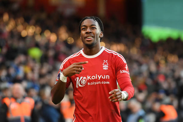 许多滑雪健 许多滑雪健