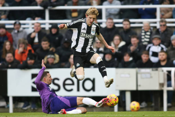 仅巩固了他 仅巩固了他