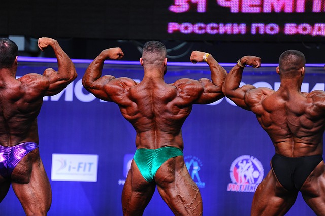 雄鹿的排名 雄鹿的排名